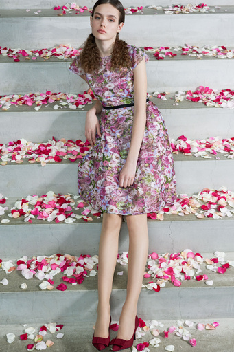 「トッカ×ニコライ バーグマン」華やかなコラボコレクション