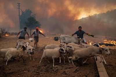 トルコ洪水 死者55人に 写真19枚 国際ニュース Afpbb News