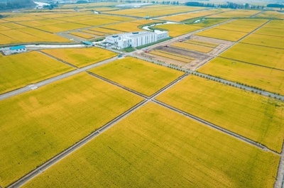 全作業が自動化、3840ムーの農地は科学技術の塊=江蘇省の農園