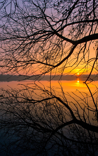 湖畔から臨む秋の夕日、ドイツ