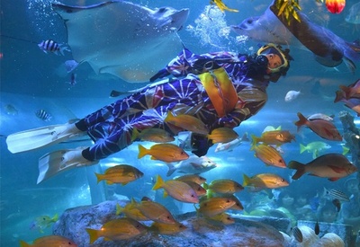 浴衣姿で餌付けショー、しながわ水族館で七夕イベント