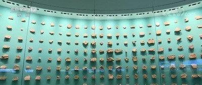 カンブリア紀の生物化石2万点余を一般公開 雲南省澄江市