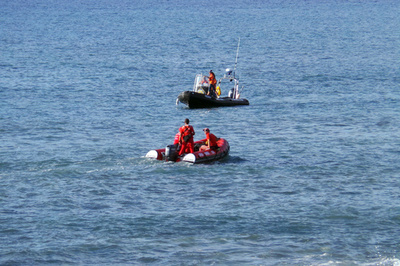 サメに襲われ15歳少女死亡、レユニオン島