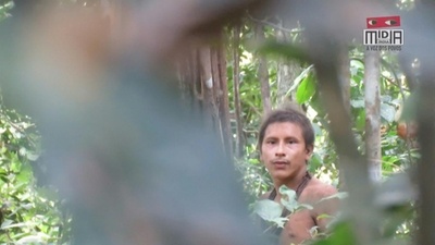 動画 アマゾン先住民の指導者殺される 採掘業者が集落を占領 ブラジル 写真1枚 国際ニュース Afpbb News 動画 アマゾン先住民の指導者殺される 採掘業者が集落を占領 ブラジル 写真1枚 国際ニュース Afpbb News