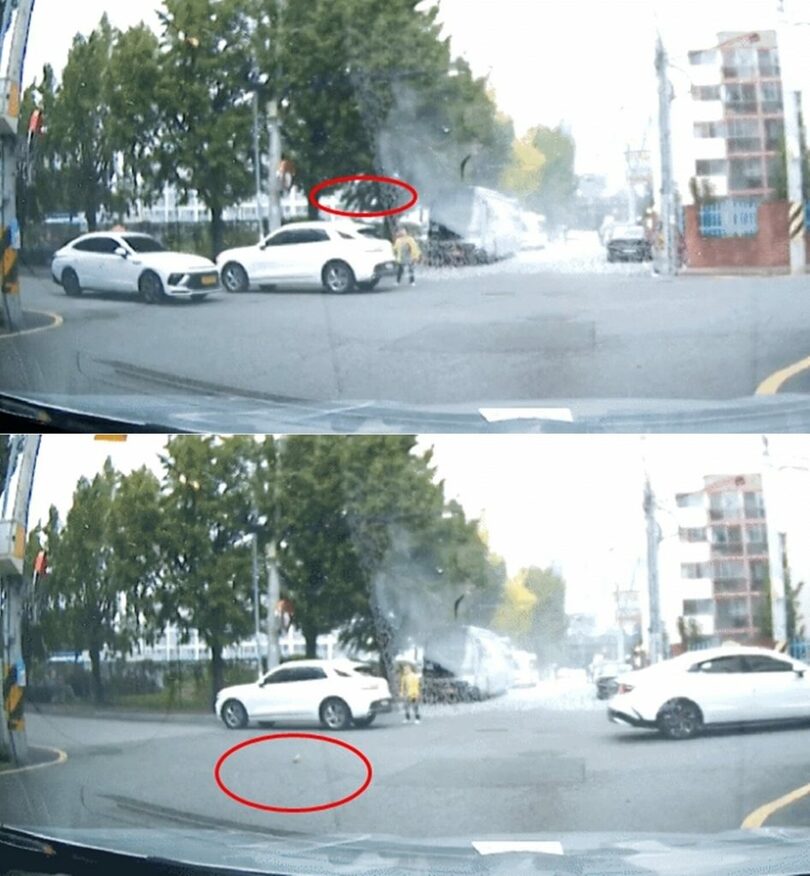 ボベドリーム(c)news1