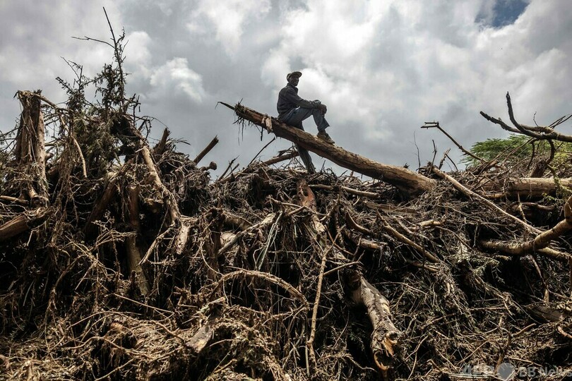 【今日の1枚】なぎ倒された家屋を前に…ケニア