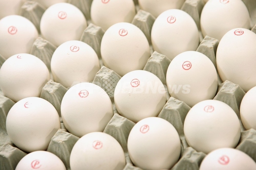 米国でサルモネラ症感染拡大、42州で388人 写真1枚 国際ニュース：AFPBB News