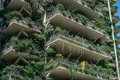 中国四川省成都で、植物に覆われた集合住宅のベランダ（2020年8月3日撮影）。(c)STR / AFP