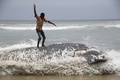 ガーナ・アクラ（Accra）近郊にある海岸沿いの村Kokrobiteに打ち上げられたクジラの死骸の上に立つ男性（2013年9月5日撮影）。(c)AFP/CHRIS STEIN