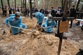ウクライナ・イジューム近郊の森で見つかった墓を掘り起こす科学捜査班（2022年9月16日撮影）。(c)SERGEY BOBOK / AFP