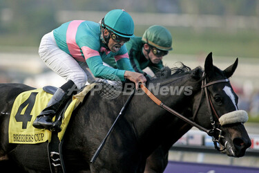 ゼニヤッタが14連勝でブリーダーズカップ・クラシック制覇 写真