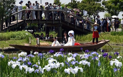 咲き誇るあやめの中を舟で嫁入り、千葉の伝統的な結婚式