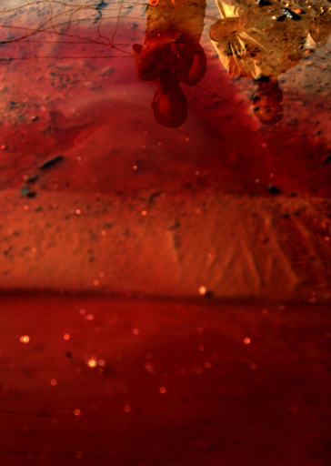 結婚式の会場で車両爆弾爆発、17人が死亡