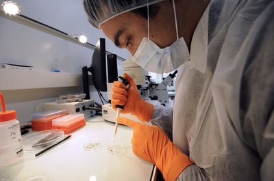 ゲノム編集、ヒト胚への応用一部容認を提言 米科学アカデミー