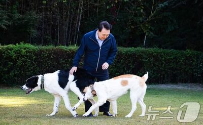 尹錫悦氏に贈られたトルクメニスタン犬…今はソウル大公園で飼育、年間費用670万ウォンはソウル市負担