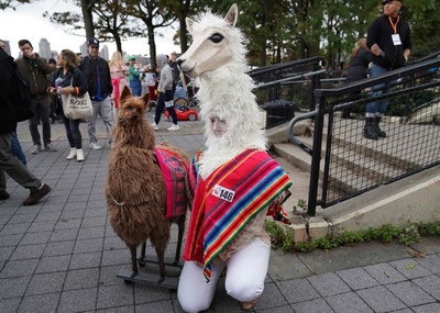 ワンちゃんのハロウィーンパレード、飼い主も大活躍!? 米NY