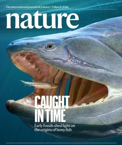 中国で古生物学の新たな進展 「魚類から人間へ」の進化の空白を埋める