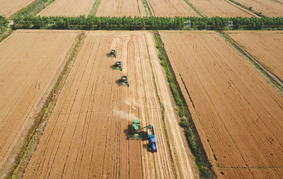 中国政府、小麦など22分野で開放措置 2018年版ネガティブリスト発表