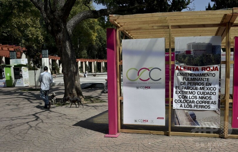 メキシコ首都に「連続殺犬鬼」？公園でペット犬の急死相次ぐ