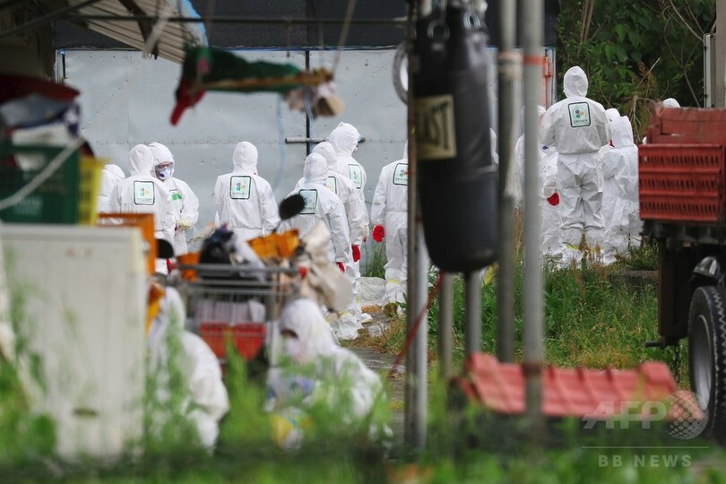 韓国でまた鳥インフルが流行、家禽の移動を全面禁止