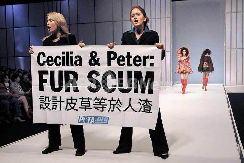 香港ファッションウィークにpetaが乱入 中国 写真3枚 国際ニュース Afpbb News