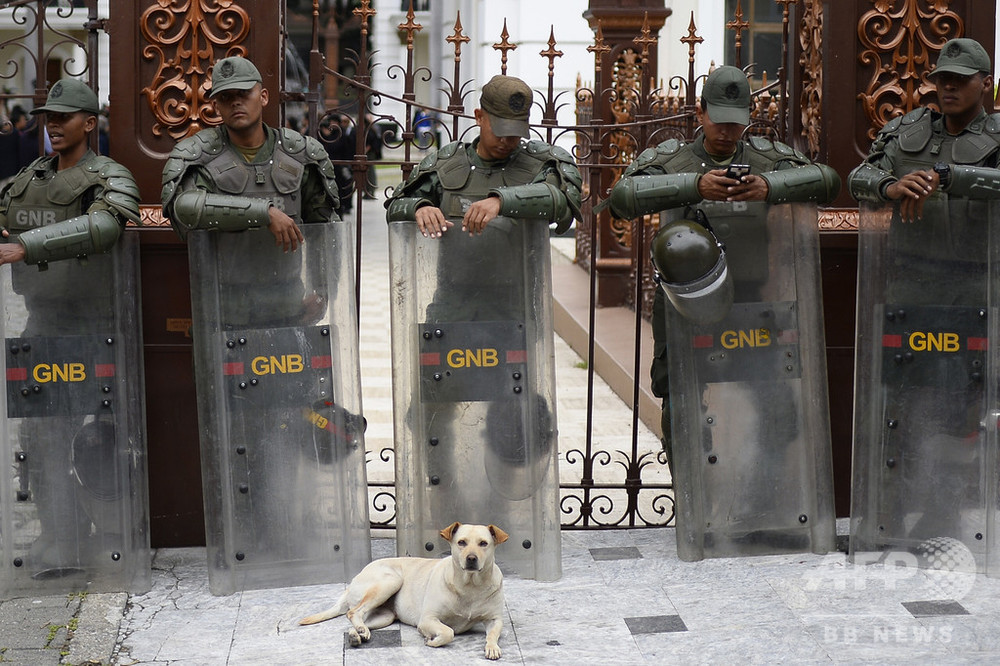 今日の1枚 犬に守られる警備隊員 写真1枚 国際ニュース Afpbb News