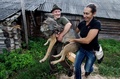 ベラルーシの首都ミンスク（Minsk）から北に約250キロのザシュレバイ（Zacherevye）村で、飼い慣らされたオオカミを運ぶ夫婦（2014年8月17日撮影）。(c)AFP/SERGEI GAPON