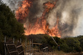 ギリシャ北部アレクサンドルポリス付近で、山火事の消火に当たる消防隊員（2023年8月23日撮影）。(c)Sakis MITROLIDIS / AFP