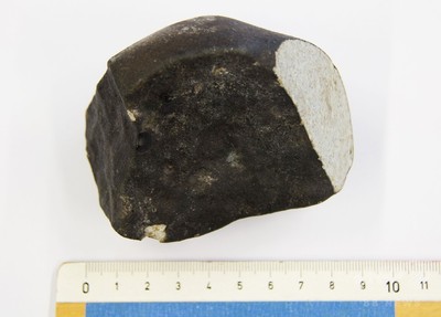 45億年前の隕石、民家の納屋で発見 オランダ 写真3枚 国際ニュース 