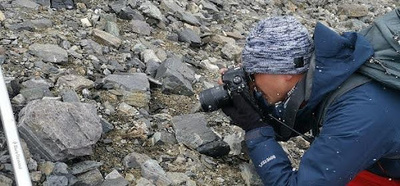 チョモランマの種子「発芽記」 世界で最も高い場所での採取と保管に成功