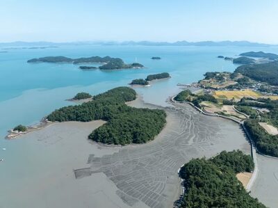 「韓国の干潟」世界遺産の登録区域が大幅拡大…渡り鳥の生息地など新たに4地域承認