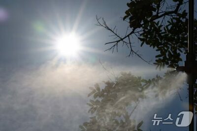 韓国・都心の銀行は「お年寄りの避暑地」…5年で1000店舗消え「不便」