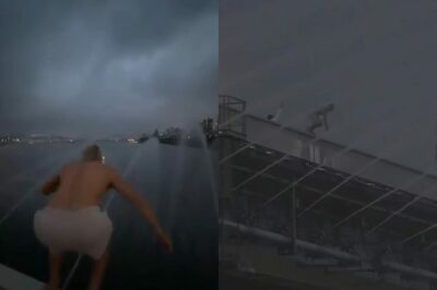 ソウルの盤浦大橋から漢江へダイブ…外国人男性の動画拡散、安全面で物議