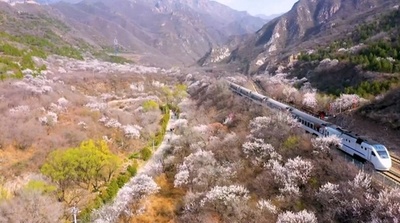 期間限定 春に向かう列車 北京市