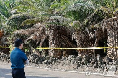 韓国・済州で失踪女性、104日後に遺体で発見…交際相手「自ら命を絶つ状況ではなかった」