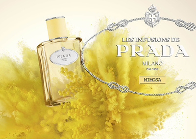 「インフュージョン ドゥ プラダ」にミモザの香り