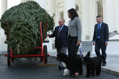 ホワイトハウスにクリスマスツリー届く、米国