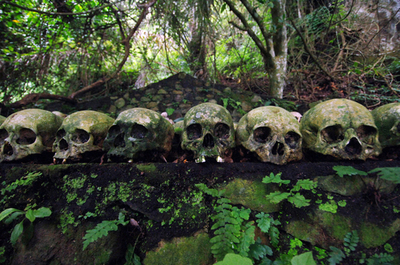 バリ島の村に残る古代の風習、死者はバニヤンの木の下に放置