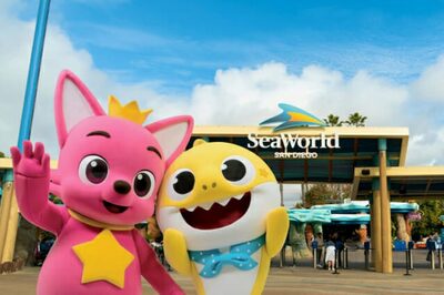 10周年を迎える「ピンクフォン・ベイビーシャーク」…日本・韓国・米国でオフラインイベント