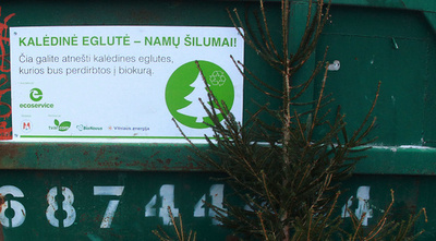 クリスマスツリーをバイオ燃料に、リトアニア企業が再利用の取り組み