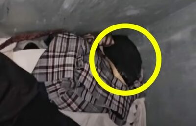 古着回収箱から「きゃんきゃん」子犬3匹…韓国・1匹はすでに死亡、ネットで広がる怒りと悲しみ