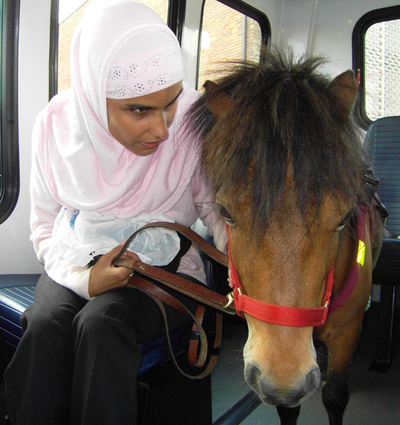 パートナーは盲導犬ならぬ「盲導馬」、米ミシガン州のイスラム女性