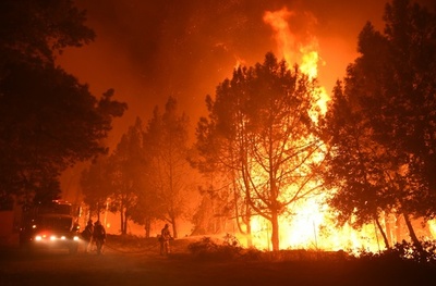 米西部の森林火災、気候変動により30年で面積倍増 研究