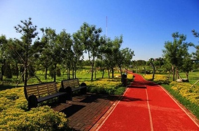 中国 2021年からの5年間にスポーツ公園1000カ所建設へ 