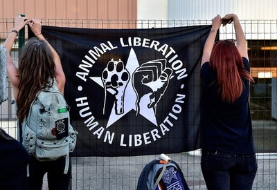 「完全菜食主義者」2人に禁錮刑、精肉店など相次ぎ襲う フランス