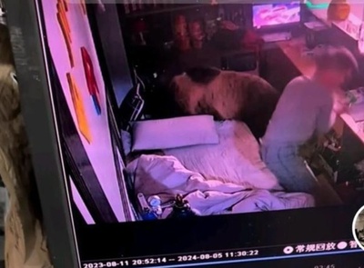 夜中に目を開けると枕元にヒグマが=チベット