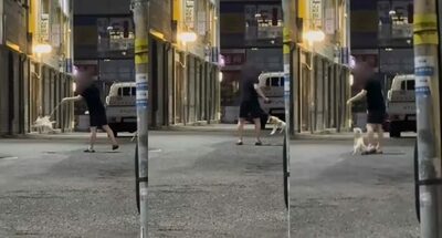 犬をリードで振り回す「しつけ」という虐待映像…韓国・衝撃映像に怒りと悲しみ