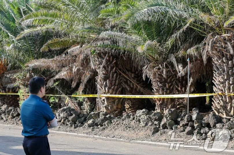 チャン・ミランさんの失踪届を虚偽処理した問題を受け、遺体が発見された韓国・済州市翰林邑の現場付近に張られた規制線＝2026年8月25日 (c)news1