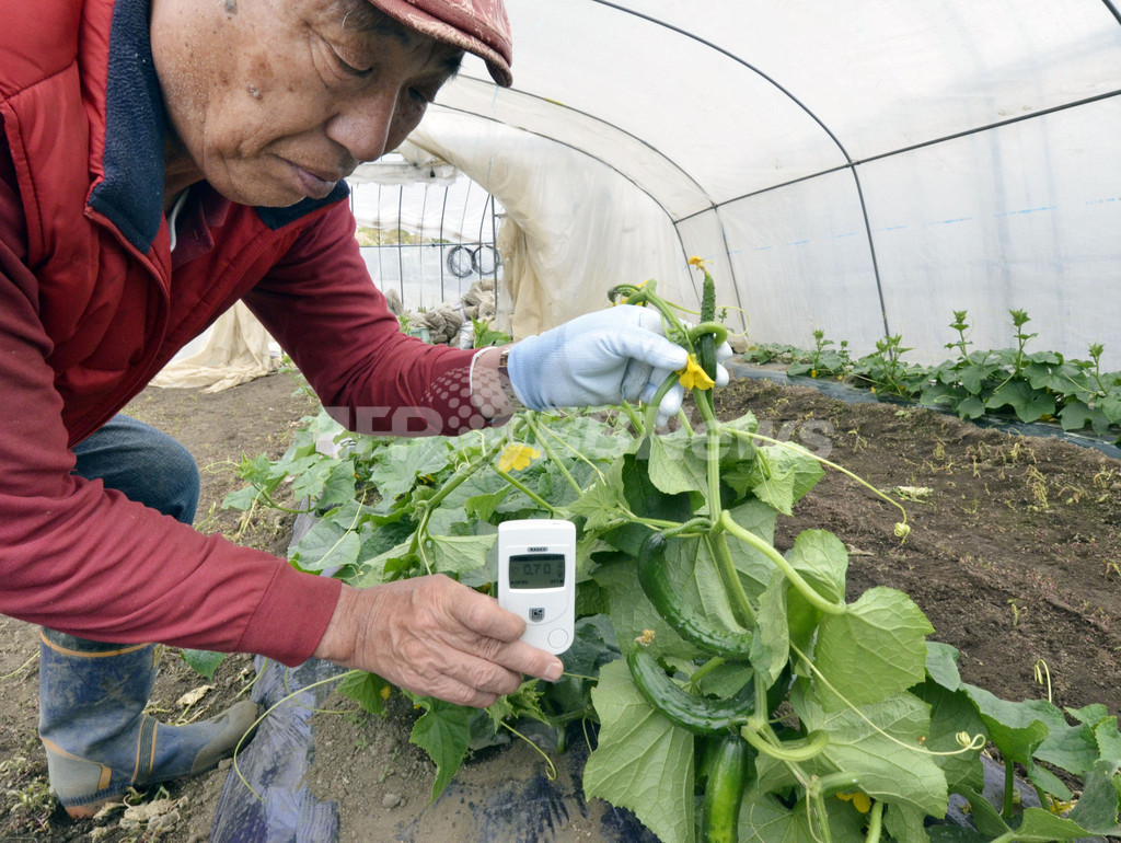 福島第1原発事故、「健康への危険性ない」 国連科学委員会 福島第1原発事故、「健康への危険性ない」 国連科学委員会