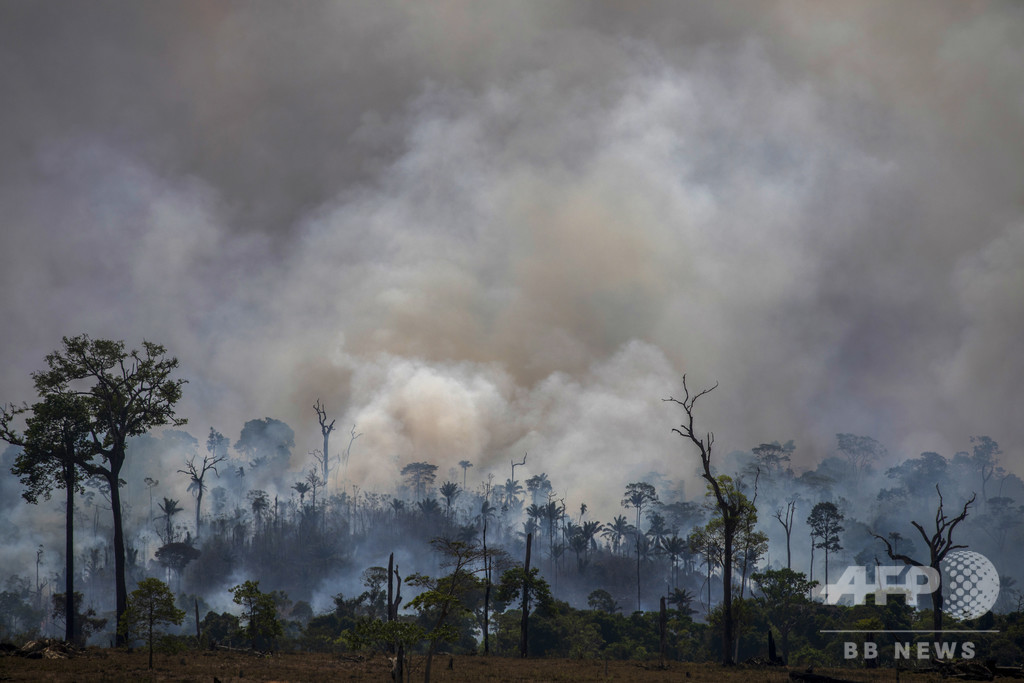 アマゾン森林火災でアンデス山脈の氷河融解が加速、研究 アマゾン森林火災でアンデス山脈の氷河融解が加速、研究